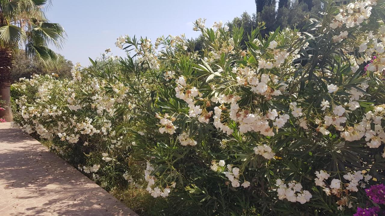 Riad-Villa Agadir-Taroudant Sidi Boumoussa Bagian luar foto